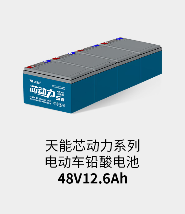 太阳成集团tyc122cc电池48v12ah