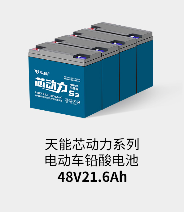 太阳成集团tyc122cc电池48v20ah
