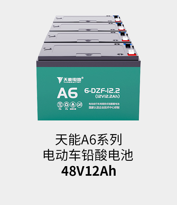 太阳成集团tyc122cc电池48v12ah