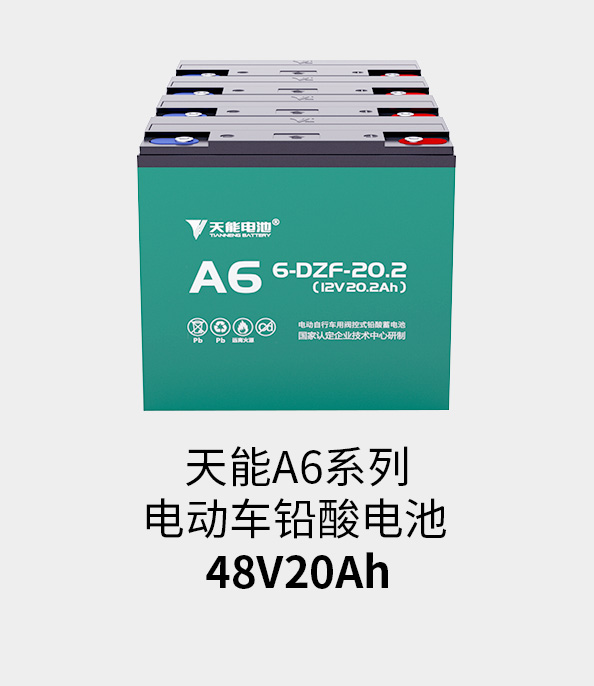 太阳成集团tyc122cc电池48v20ah