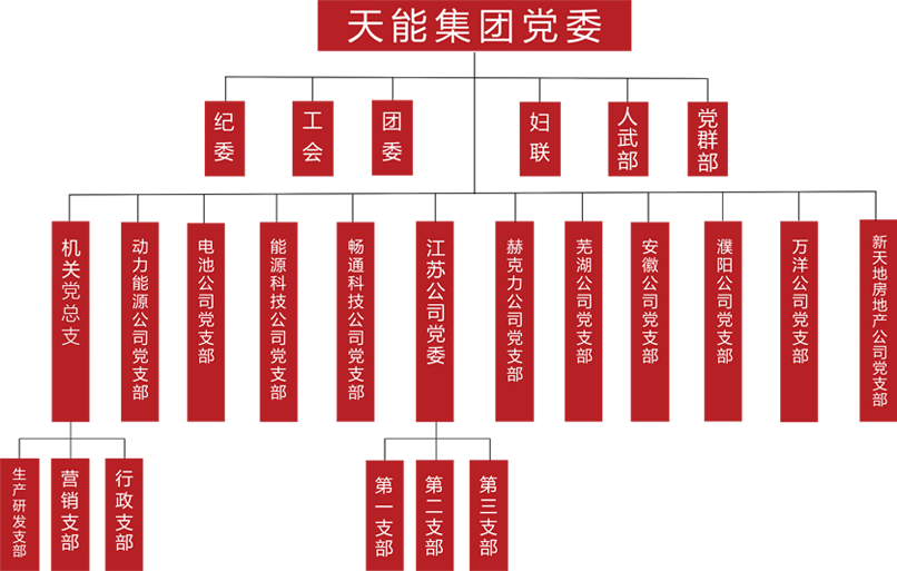 太阳成集团tyc122cc建团党委组织架构